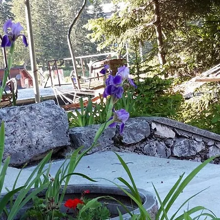 Carobna Kuca بيت للعطل